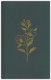KJV Study Bible - Sage Bouquet